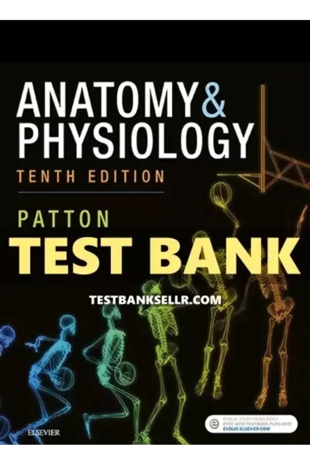 Test Bank for Anatomy and Physiology 10th Edition Patton
