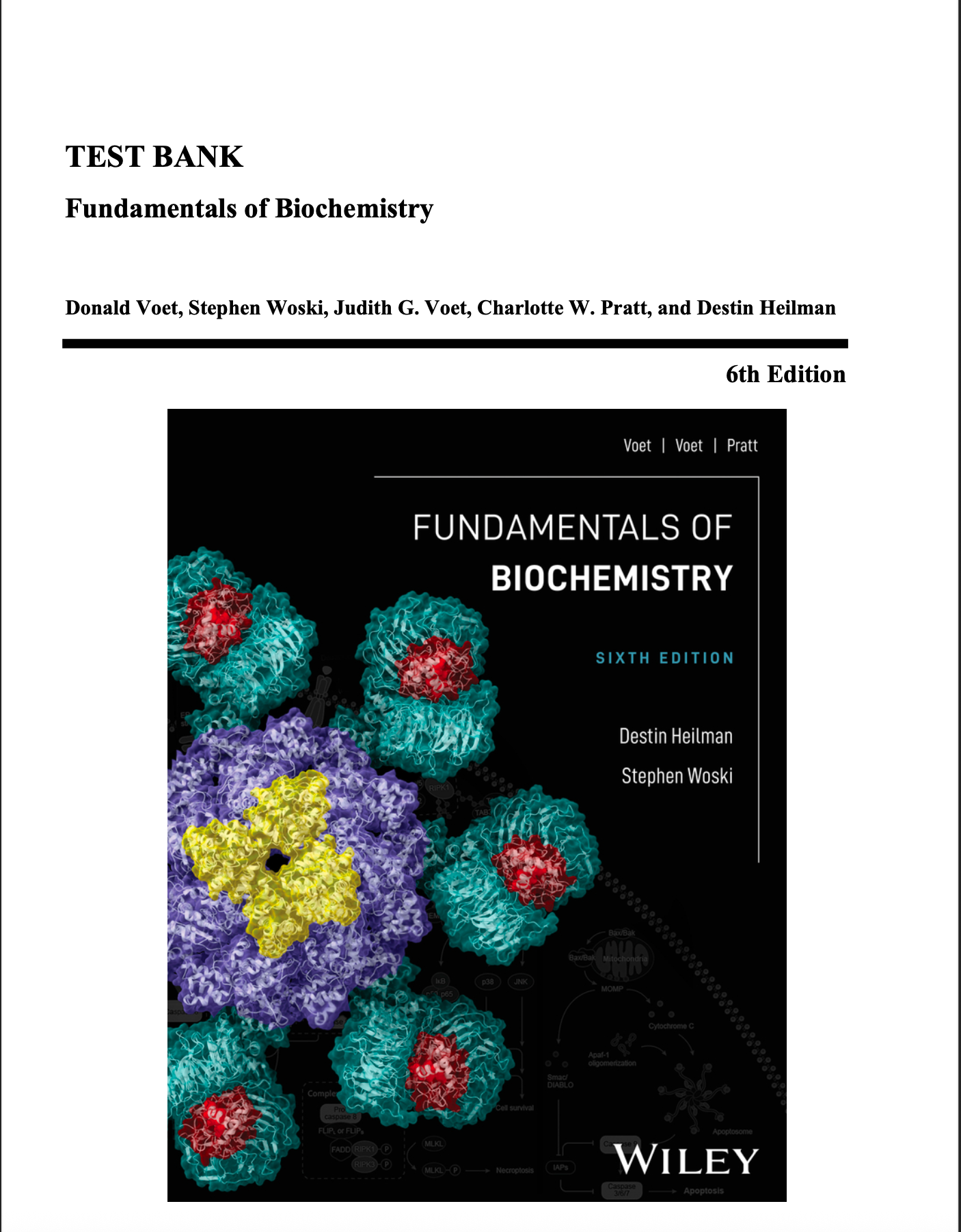 Test Bank for Fundamentals of Biochemistry 6th Edition Voet