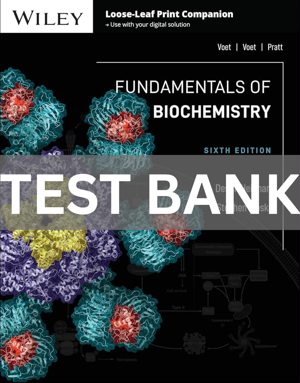Test Bank for Fundamentals of Biochemistry 6th Edition Voet