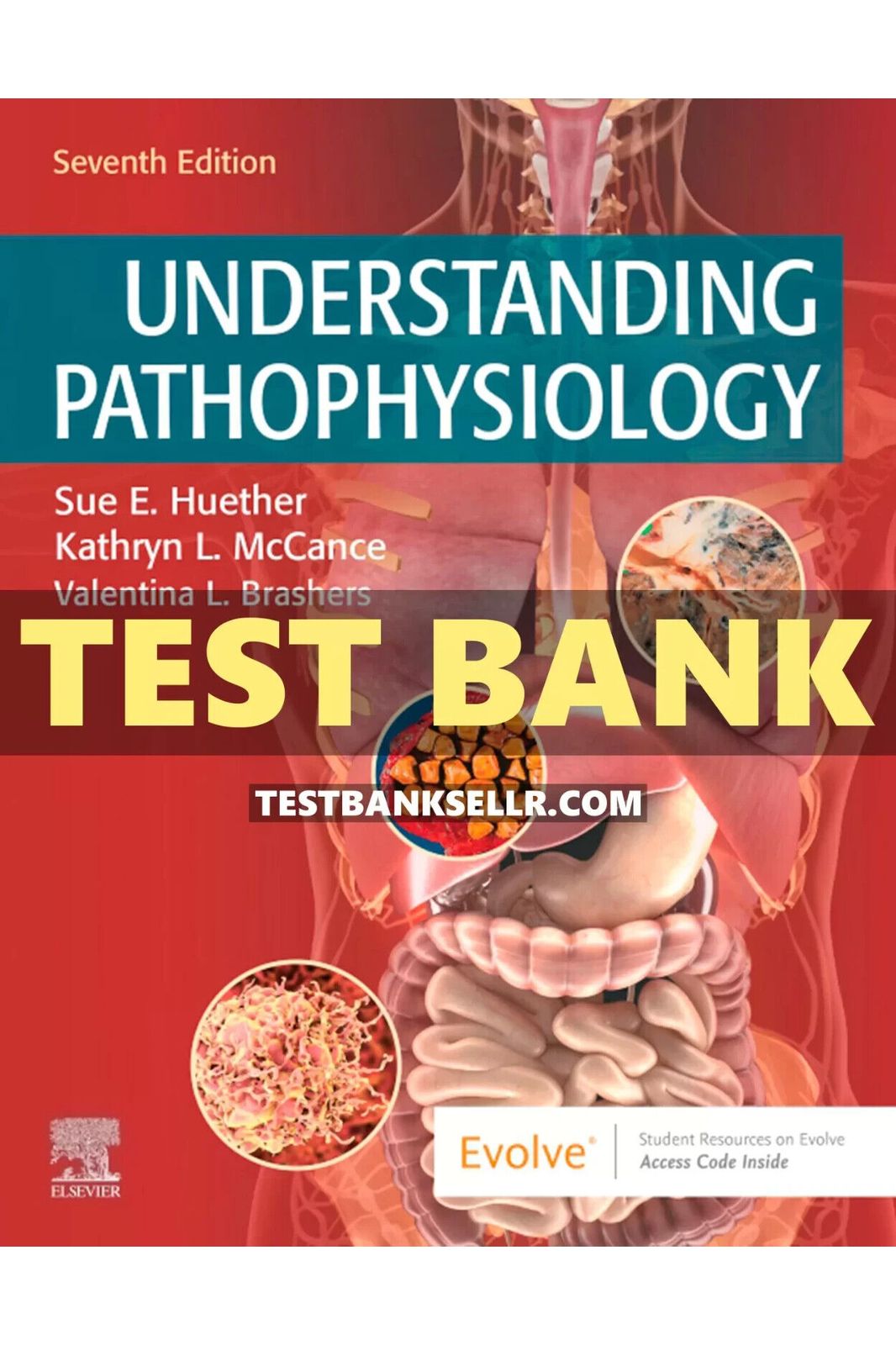 Test Bank for Understanding Pathophysiology 7th Edition Huether