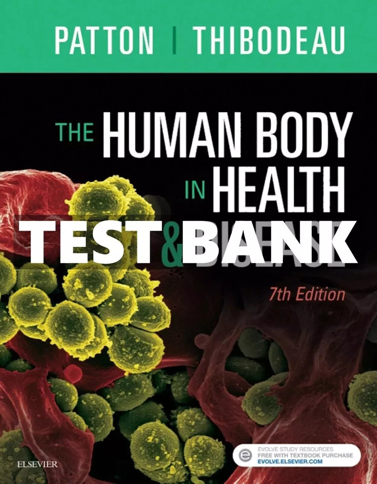 Test Bank for The Human Body in Health and Disease 7th Edition by Patton