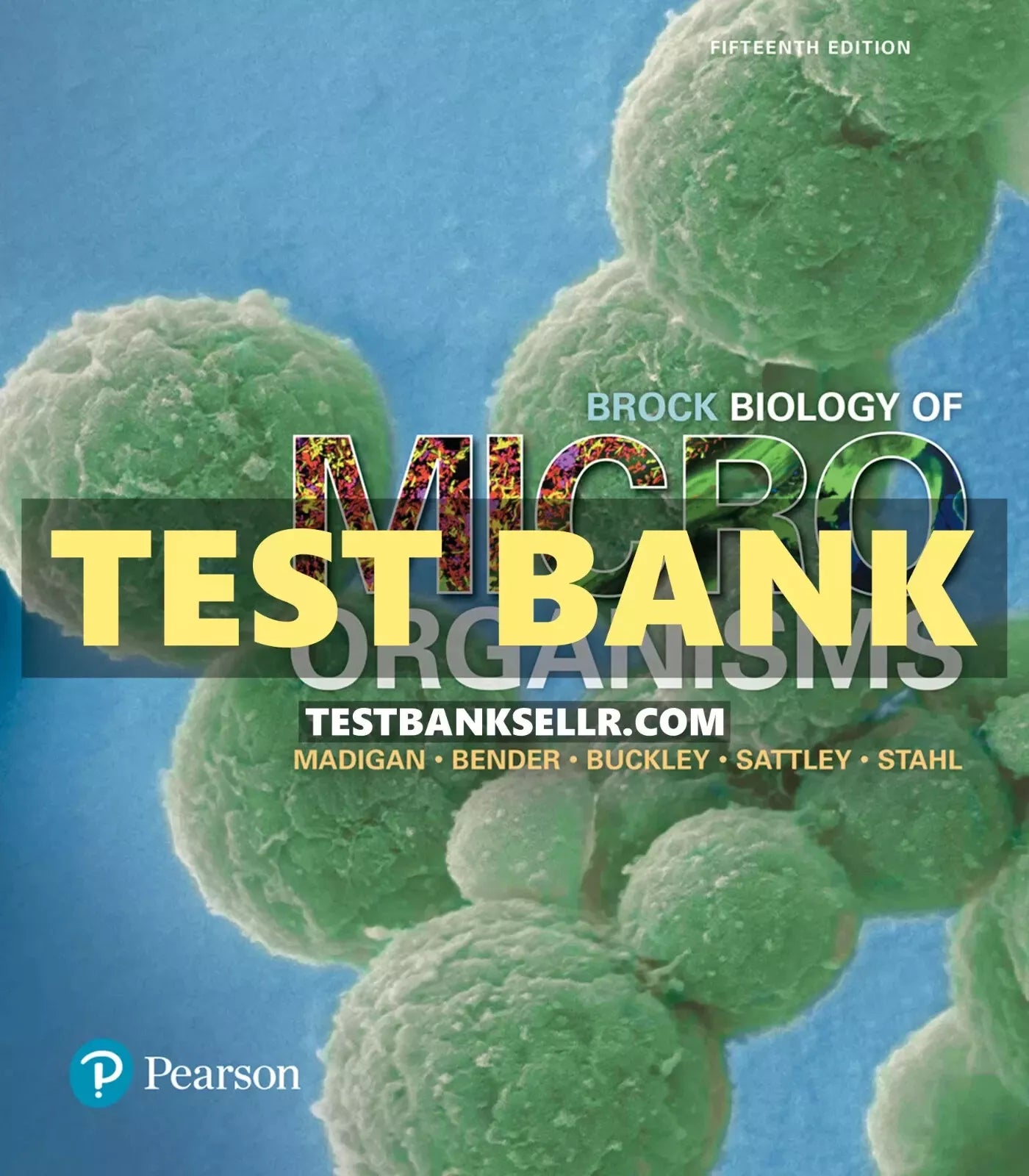 Test Bank for Brock Biology of Microorganisms 15th Edition Madigan