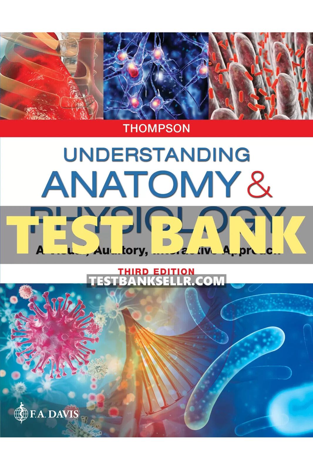 Test Bank for Understanding Anatomy and Physiology 3rd Edition Thompson